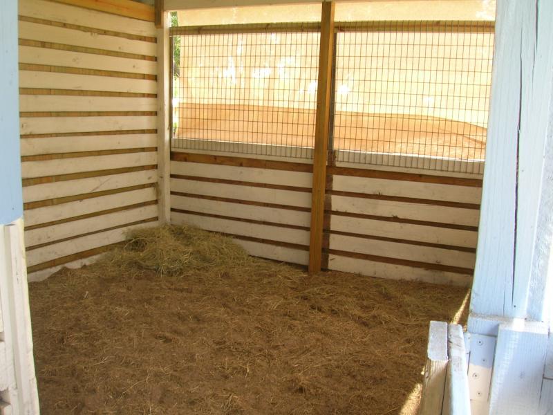 Stall after recent renovations - 